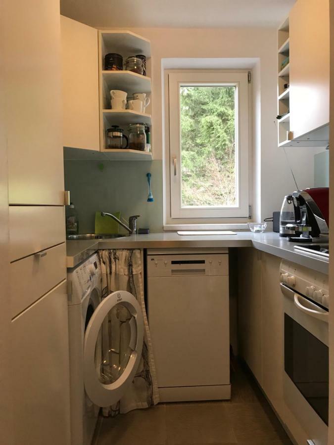 Apartment Gisi Інсбрук Екстер'єр фото