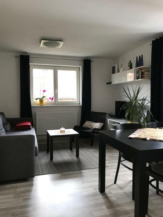 Apartment Gisi Інсбрук Екстер'єр фото